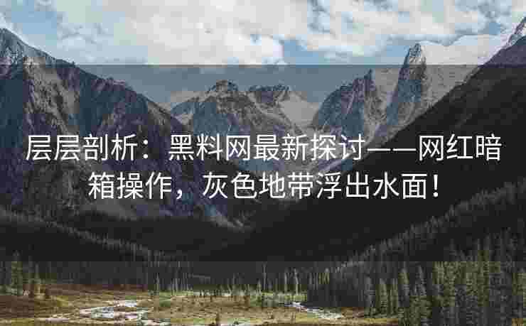 层层剖析：黑料网最新探讨——网红暗箱操作，灰色地带浮出水面！