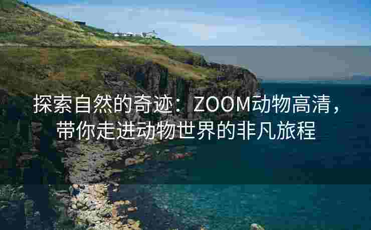 探索自然的奇迹：ZOOM动物高清，带你走进动物世界的非凡旅程