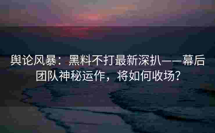 舆论风暴：黑料不打最新深扒——幕后团队神秘运作，将如何收场？